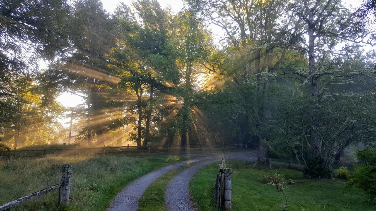 Glentruim Homestay B&B And Glamping Pods Newtonmore Exteriér fotografie