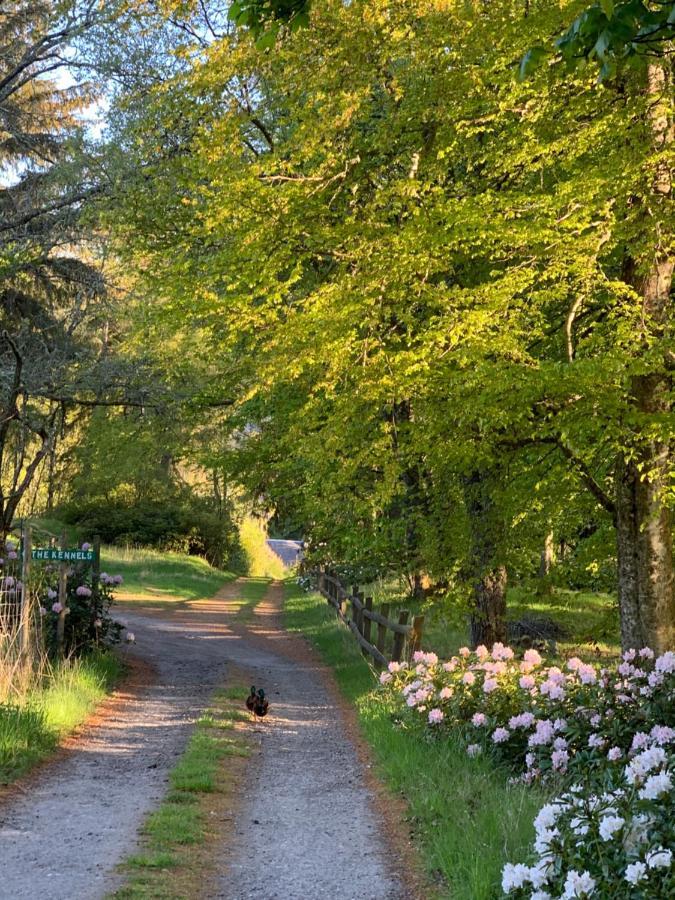 Glentruim Homestay B&B And Glamping Pods Newtonmore Exteriér fotografie